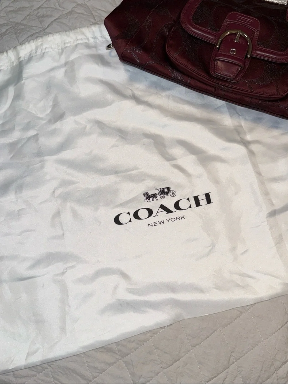 Coach satchel rich